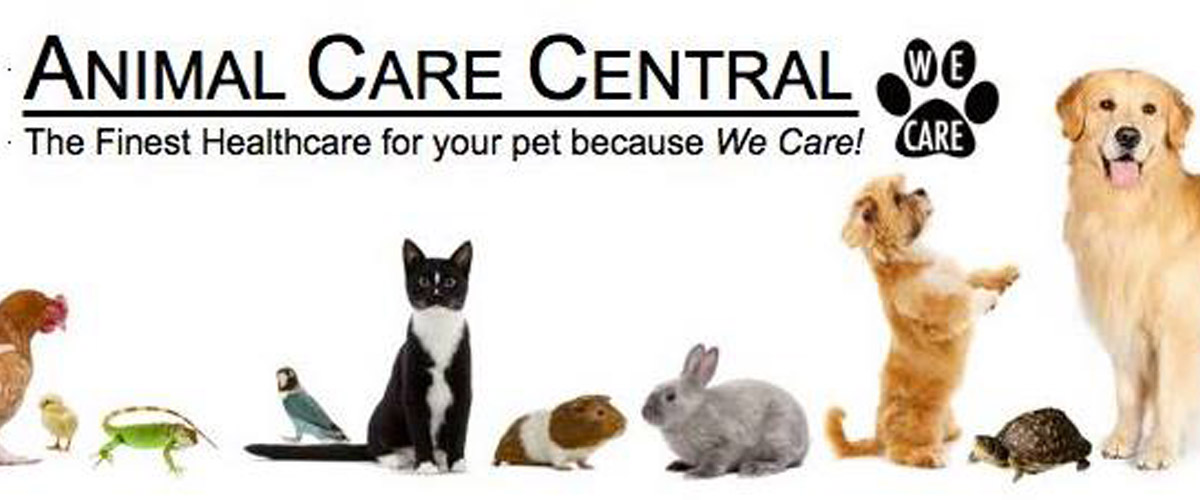 Animal Care Central